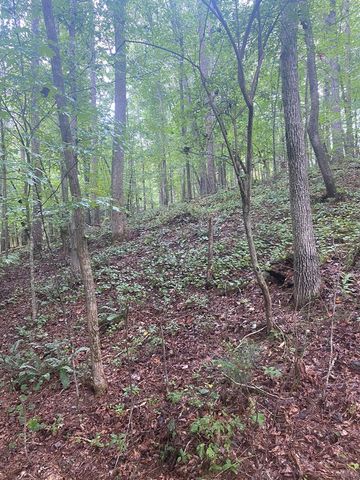 27 Mountain Creek Hollow Drive, Talking Rock, GA 30175