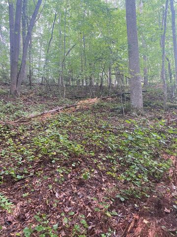 27 Mountain Creek Hollow Drive, Talking Rock, GA 30175