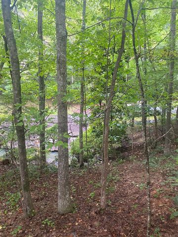 27 Mountain Creek Hollow Drive, Talking Rock, GA 30175