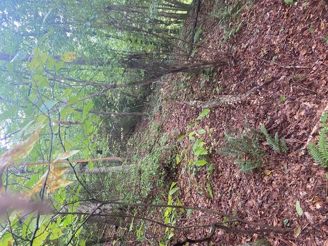 27 Mountain Creek Hollow Drive, Talking Rock, GA 30175