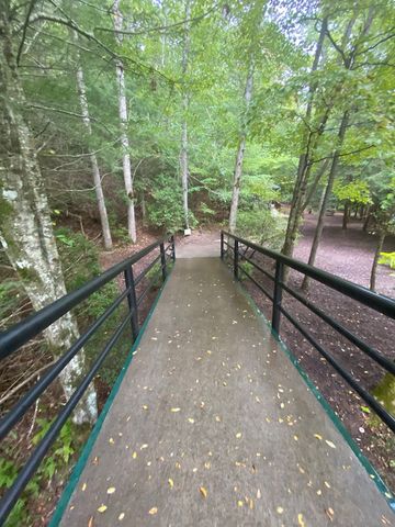 27 Mountain Creek Hollow Drive, Talking Rock, GA 30175