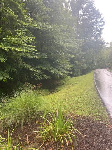 27 Mountain Creek Hollow Drive, Talking Rock, GA 30175