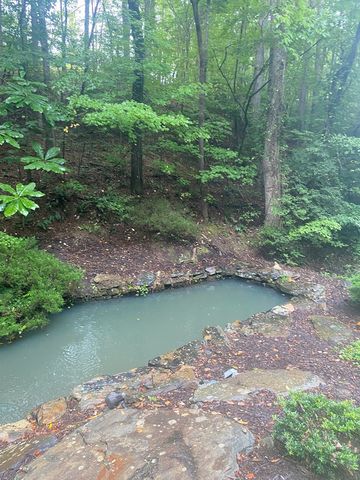 27 Mountain Creek Hollow Drive, Talking Rock, GA 30175