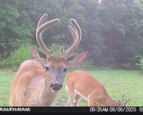 7630 N HWY VV, Columbia, MO 65202