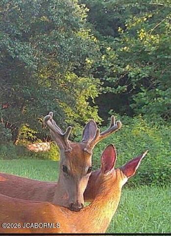 7630 N HWY VV, Columbia, MO 65202