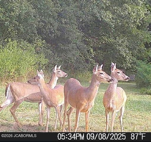 7630 N HWY VV, Columbia, MO 65202