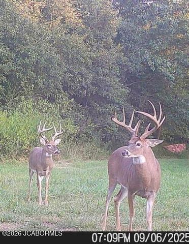 7630 N HWY VV, Columbia, MO 65202