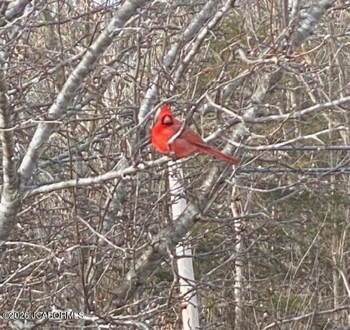 7630 N HWY VV, Columbia, MO 65202