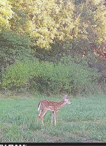 7630 N HWY VV, Columbia, MO 65202