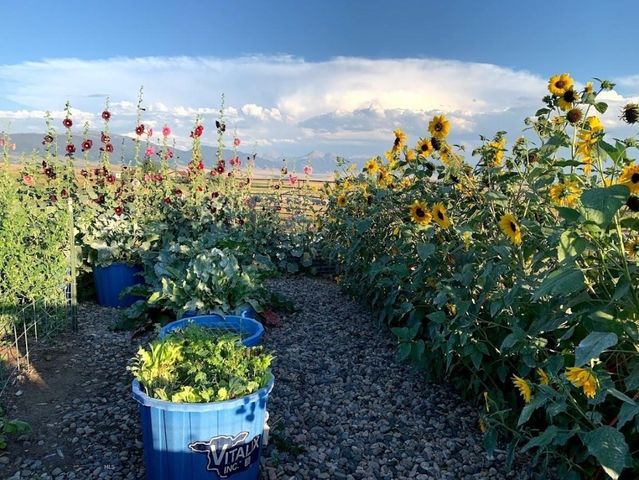 49 Redtail Hawk Road, Mcallister, MT 59740