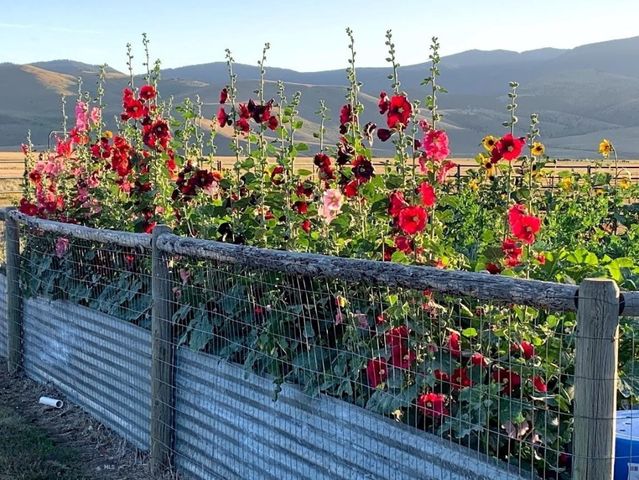 49 Redtail Hawk Road, Mcallister, MT 59740