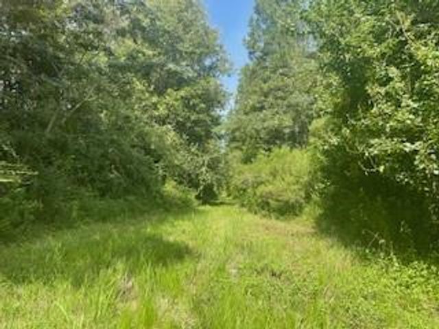 Tract B BIG LAKE Road, Pineville, LA 71360