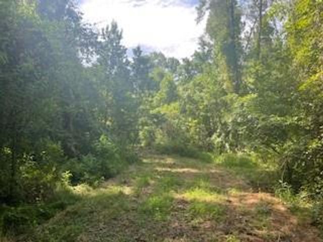 Tract B BIG LAKE Road, Pineville, LA 71360
