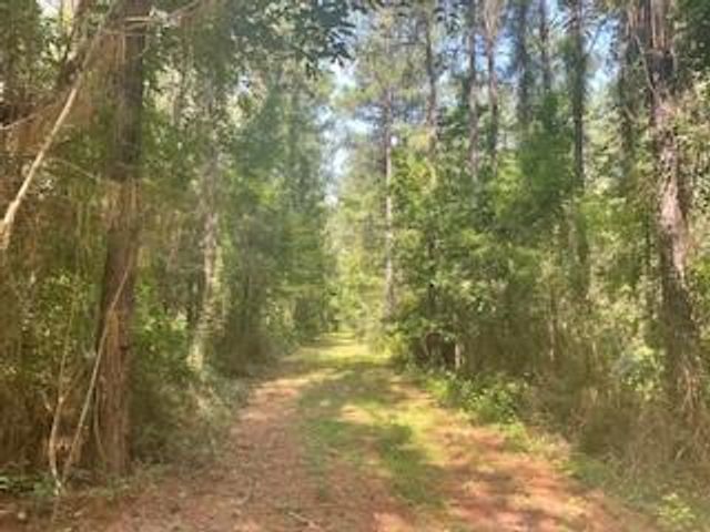 Tract B BIG LAKE Road, Pineville, LA 71360