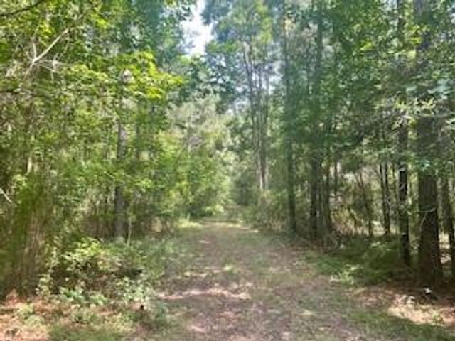 Tract B BIG LAKE Road, Pineville, LA 71360