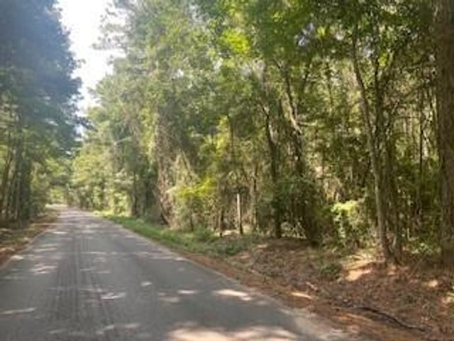 Tract B BIG LAKE Road, Pineville, LA 71360