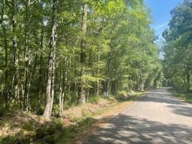 Tract B BIG LAKE Road, Pineville, LA 71360