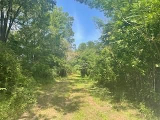Tract B BIG LAKE Road, Pineville, LA 71360