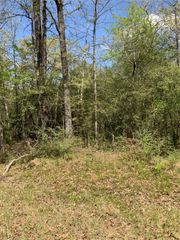 157 Foyt Drive, Livingston, TX 77351