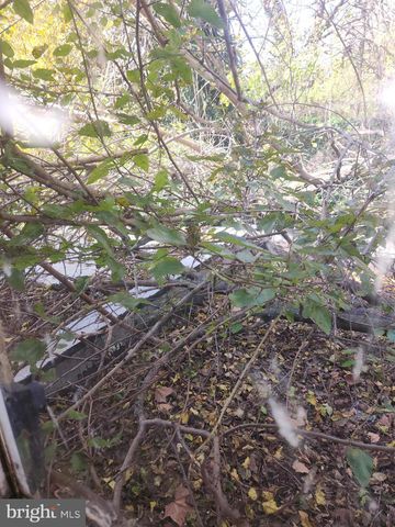 251 E HAINES ST, Philadelphia, PA 19144