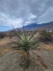 0 Panorama, Whitewater, CA 92282