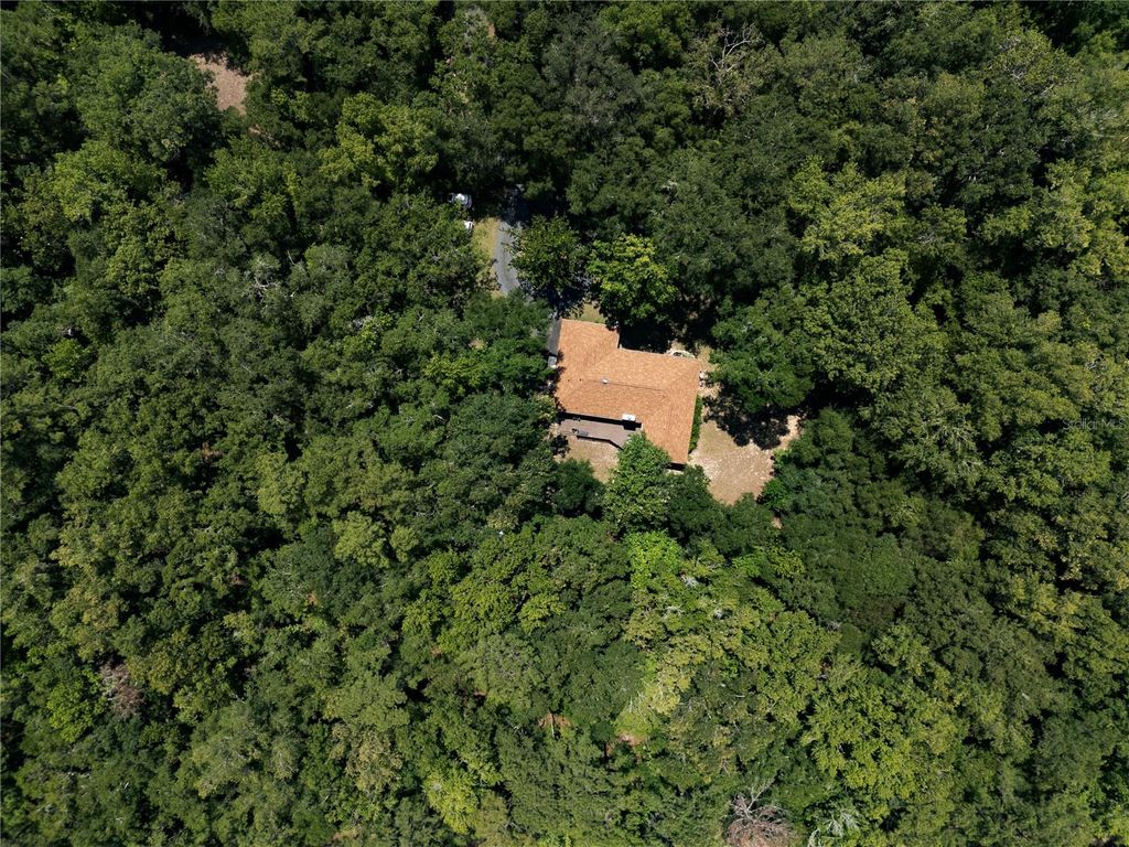 Image 46 of property listing at 18451 NW 141ST AVENUE, Williston, FL 32696