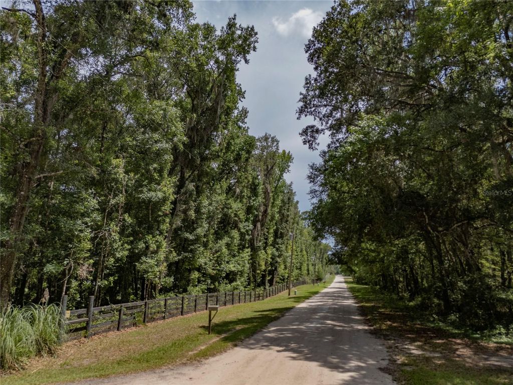 Image 49 of property listing at 18451 NW 141ST AVENUE, Williston, FL 32696