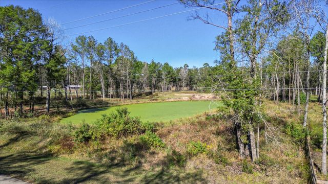 10114 Woodlane Boulevard, Magnolia, TX 77354