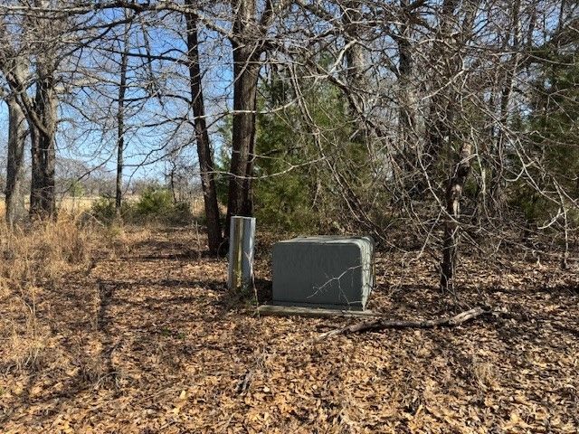TBD COUNTY ROAD 1575, Alba, TX 75410