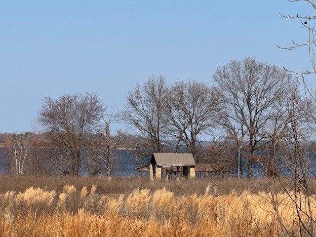 TBD COUNTY ROAD 1575, Alba, TX 75410