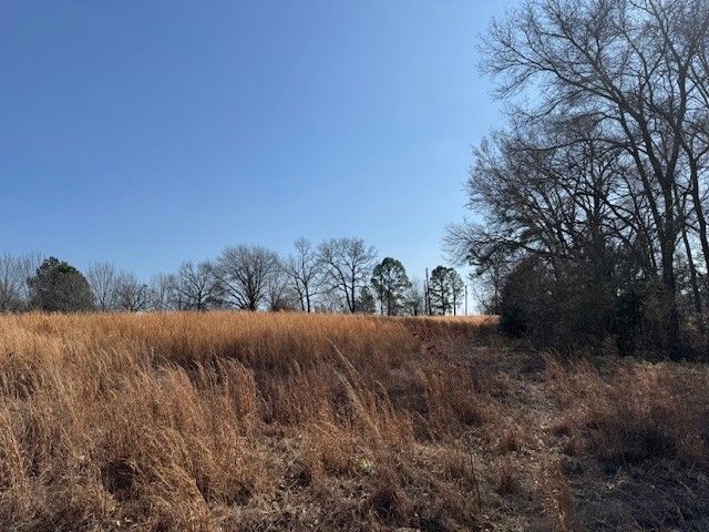 TBD COUNTY ROAD 1575, Alba, TX 75410