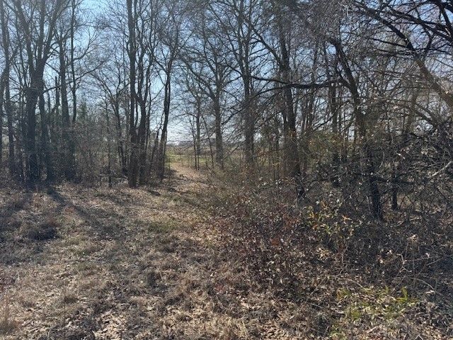 TBD COUNTY ROAD 1575, Alba, TX 75410