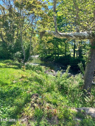 8260 Highway 19, Roan Mountain, TN 37687