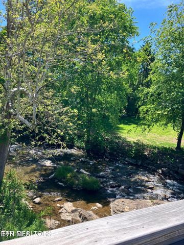 8260 Highway 19, Roan Mountain, TN 37687