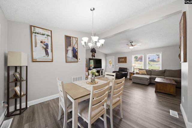 236 Drawdebil Court, Gilbert, SC 29054
