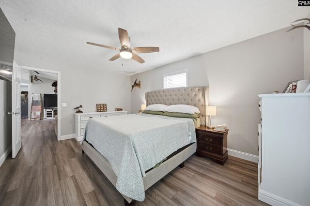 236 Drawdebil Court, Gilbert, SC 29054
