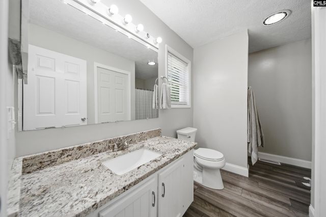 236 Drawdebil Court, Gilbert, SC 29054