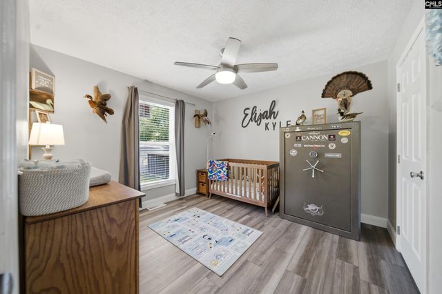 236 Drawdebil Court, Gilbert, SC 29054