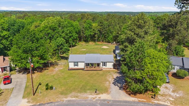 236 Drawdebil Court, Gilbert, SC 29054