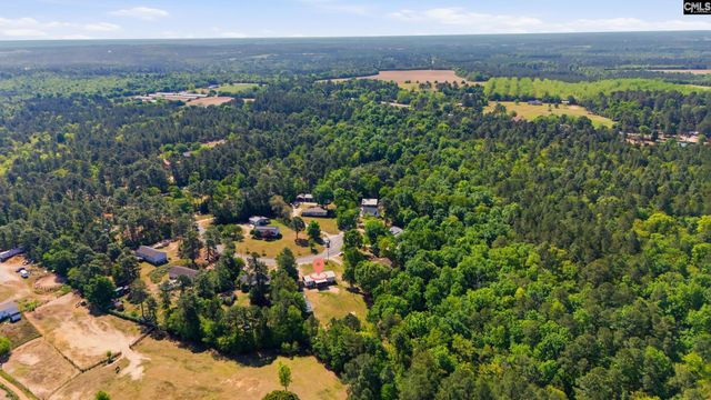 236 Drawdebil Court, Gilbert, SC 29054