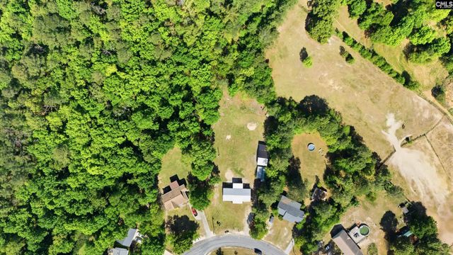 236 Drawdebil Court, Gilbert, SC 29054