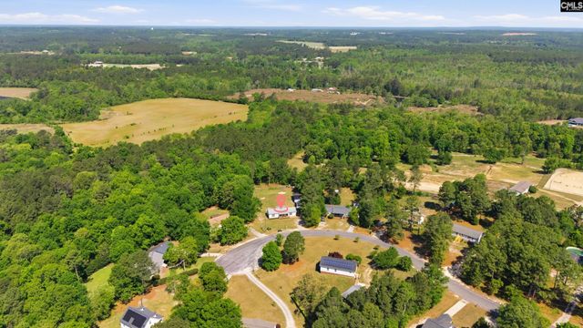 236 Drawdebil Court, Gilbert, SC 29054