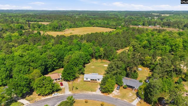 236 Drawdebil Court, Gilbert, SC 29054