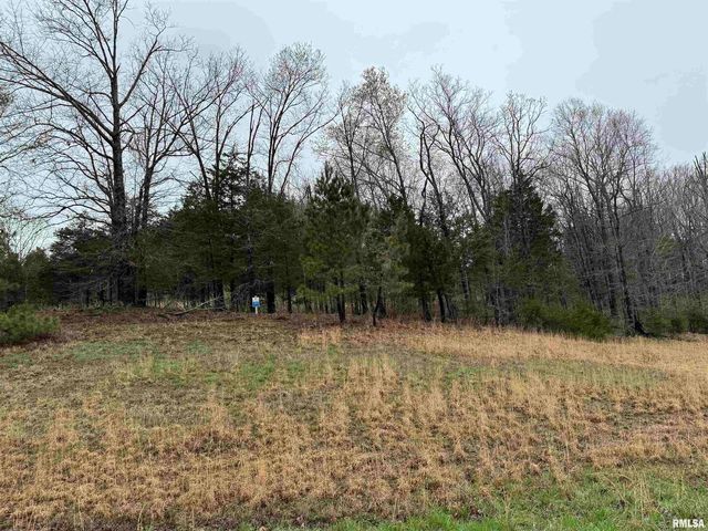 LOT 365&366 Clifty Lane, Goreville, IL 62939