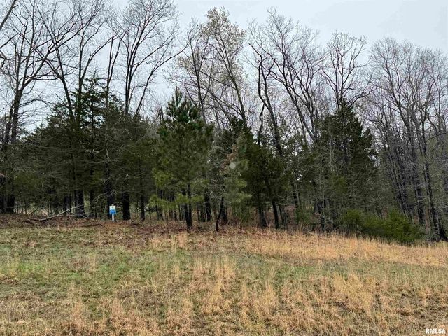 LOT 365&366 Clifty Lane, Goreville, IL 62939