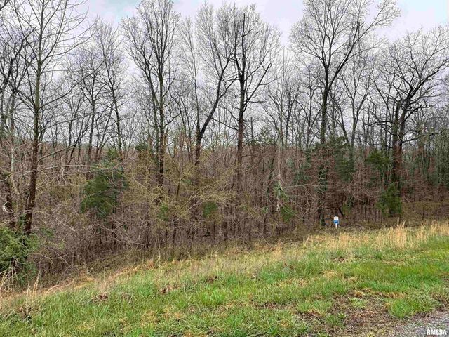 LOT 365&366 Clifty Lane, Goreville, IL 62939
