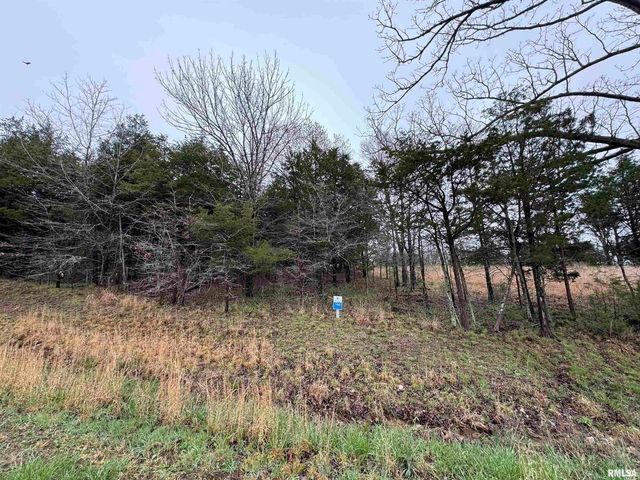LOT 365&366 Clifty Lane, Goreville, IL 62939