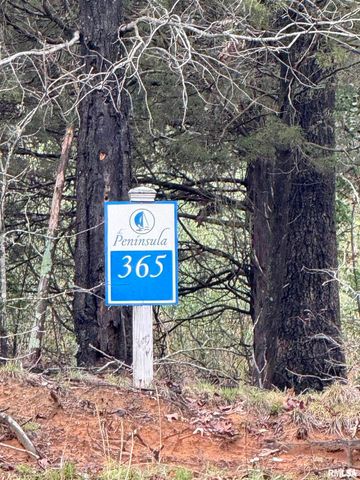 LOT 365&366 Clifty Lane, Goreville, IL 62939