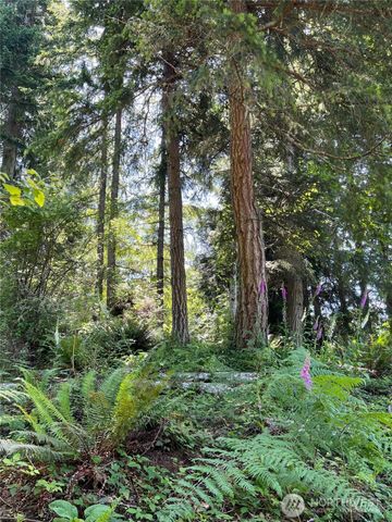 0 Twin Brooks Lane NW, Silverdale, WA 98383