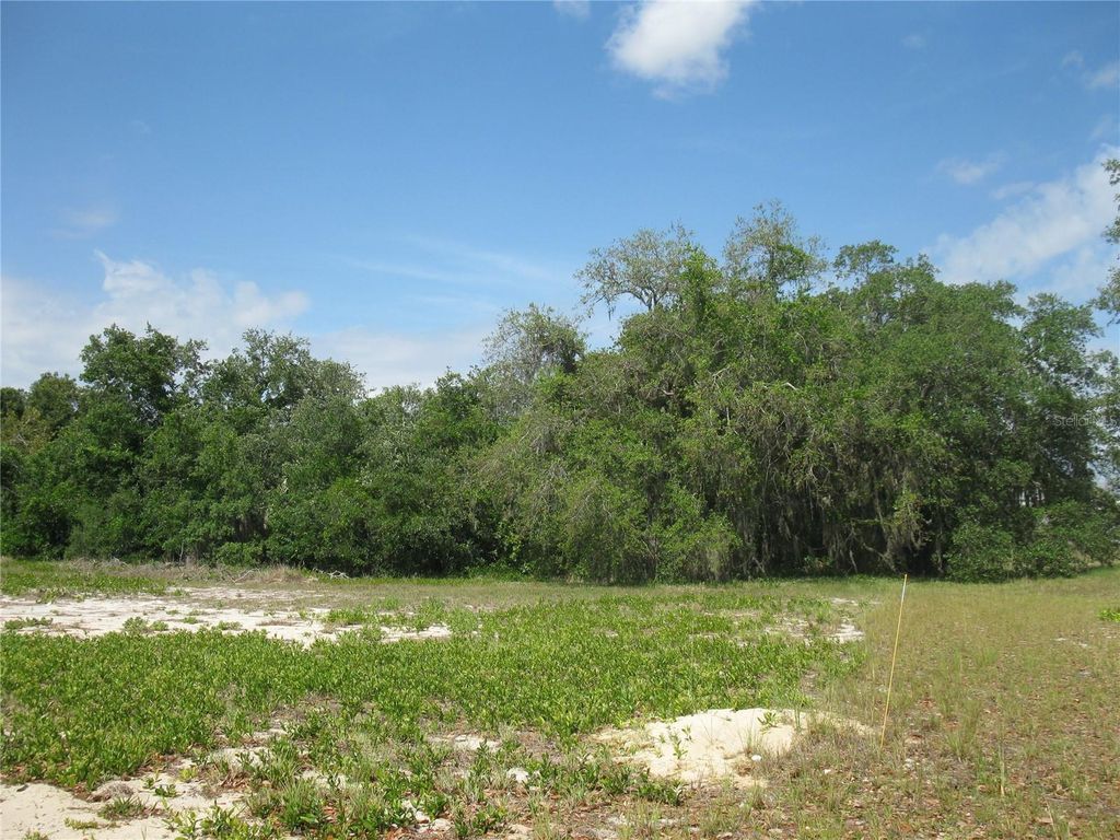 4199 JACARANDA DRIVE, Lake Wales, FL 33898